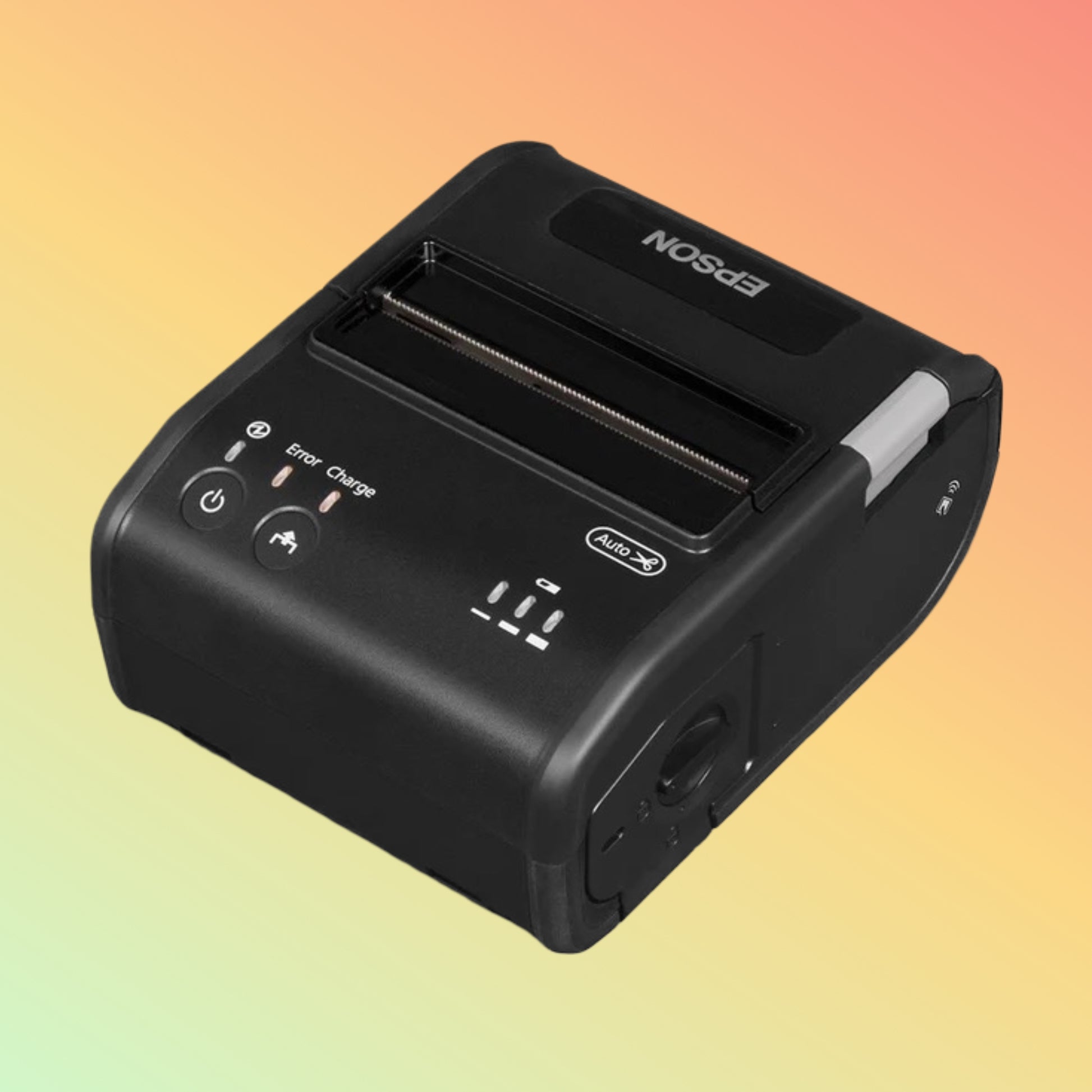 एप्सन TM-P80 पोर्टेबल प्रिंटर