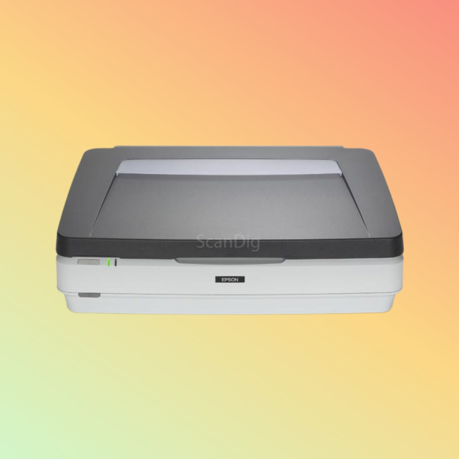 Epson Expression 13000XL Pro Software Interface