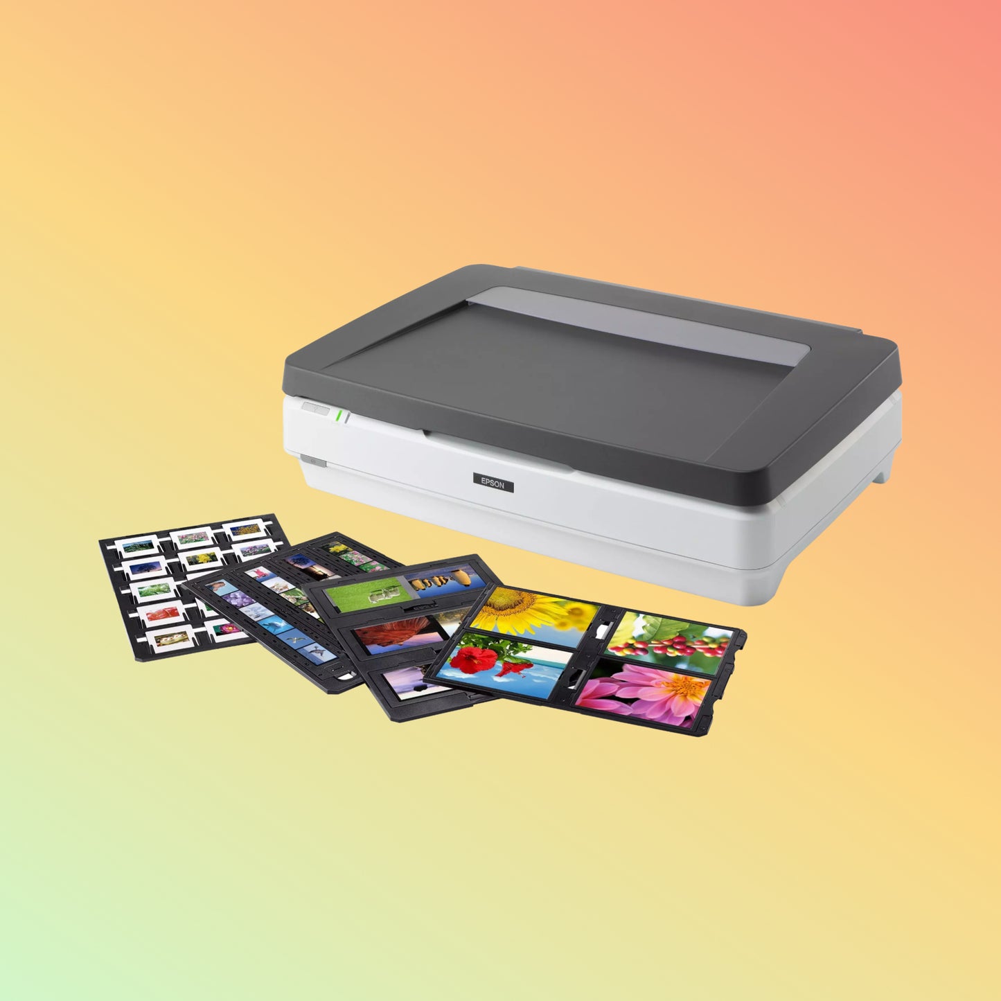 Epson Expression 13000XL Pro Transparency Unit