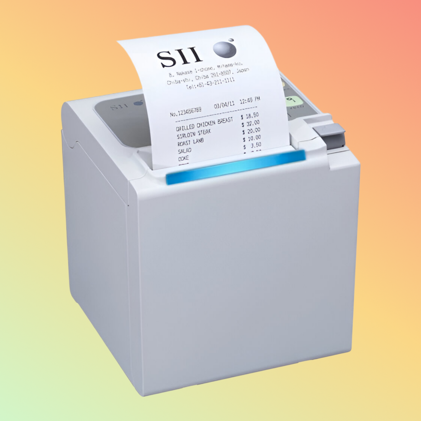 SII RP-E10 series