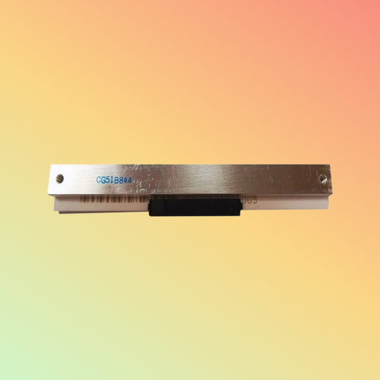 रोहम प्रिंट हेड KD2004-CG51 300 Dpi