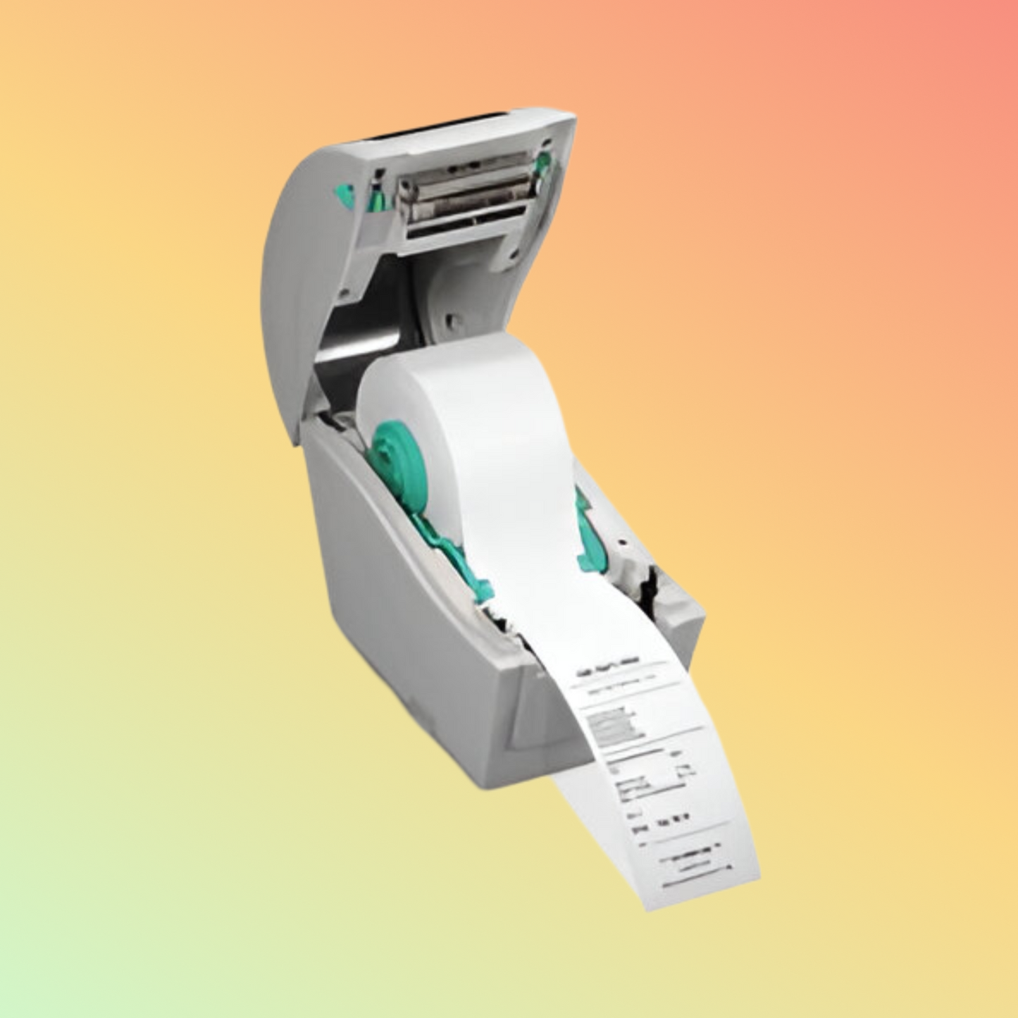 TSC TDP-225 DT Printer [203dpi]