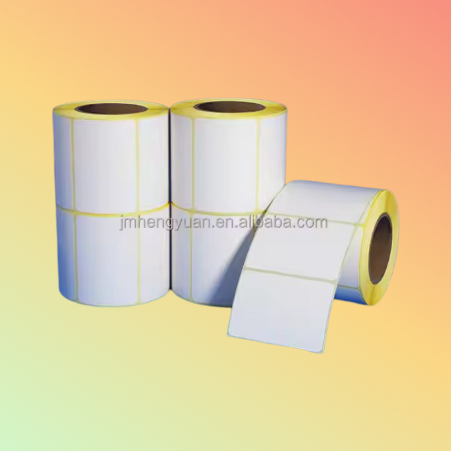 Premium 110mmx450m/300m Wax Resin Printer Ribbon