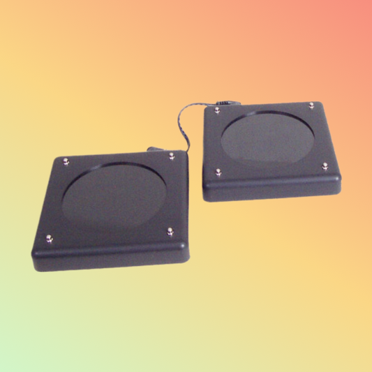 BEE-LINE LRS Alpha Coaster Pager