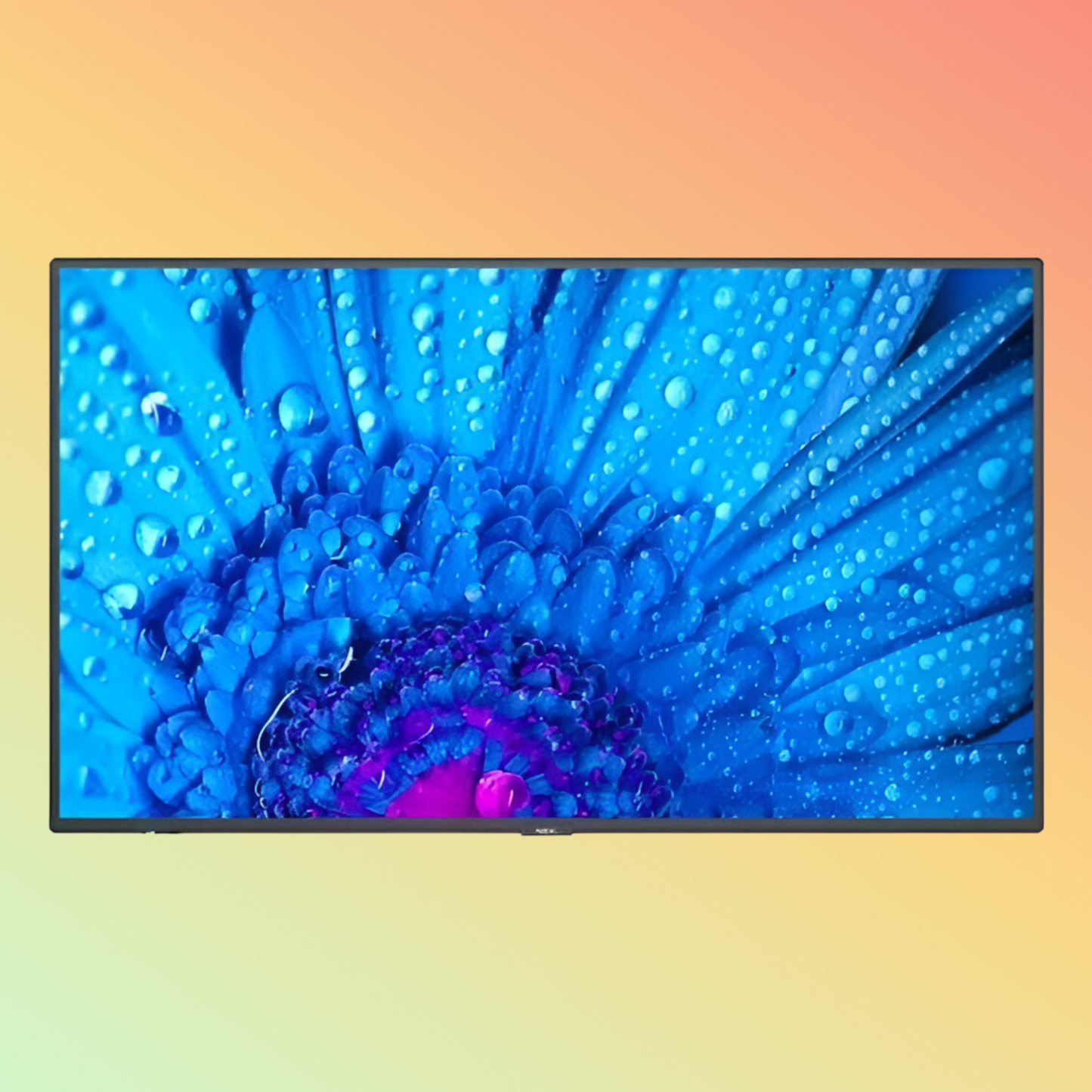 NEC मल्टीसिंक M651 मॉनिटर - 65" एलसीडी