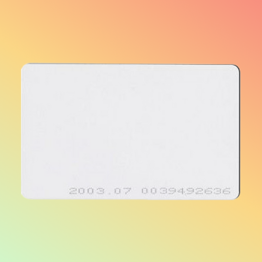 ZKTeco Proximity Key Card