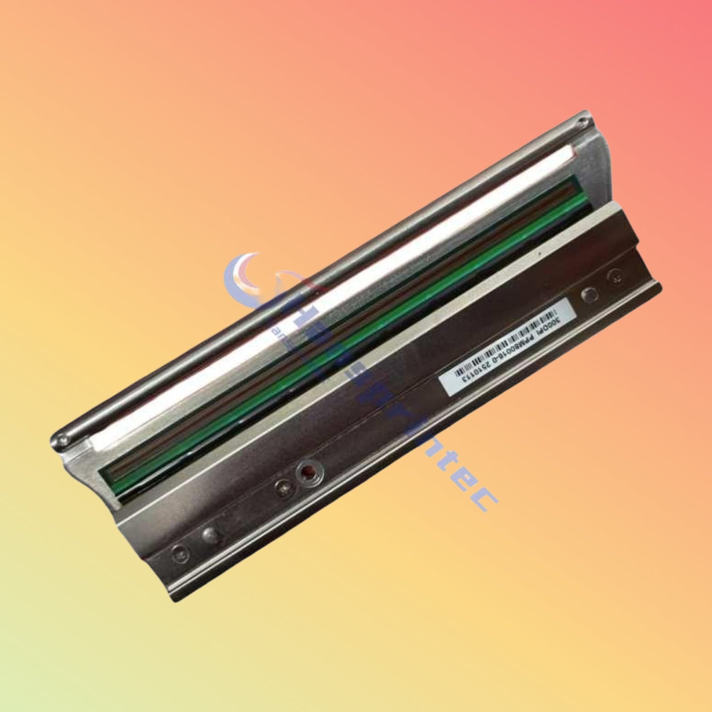 Printhead Citizen CL-E730 300dpi PPM80016C-00