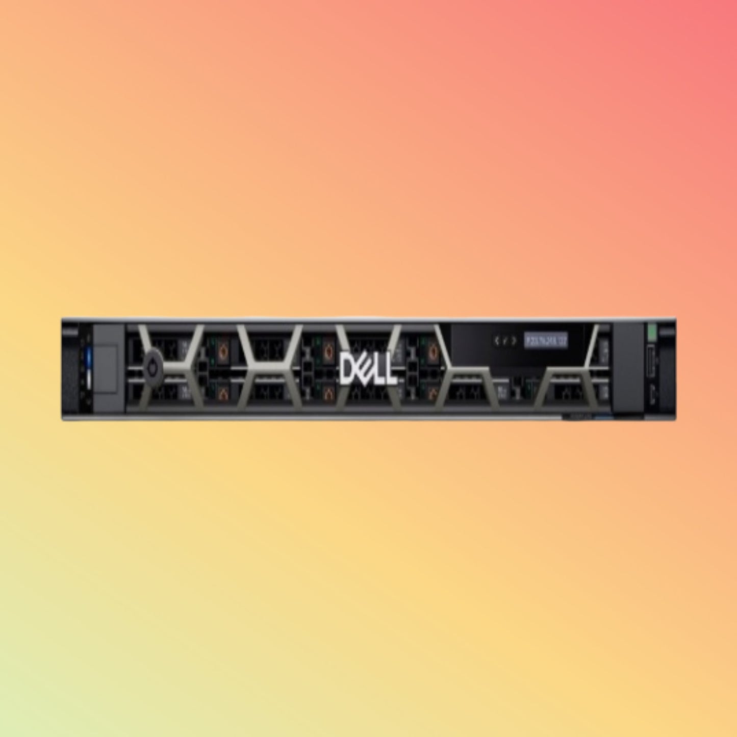 DELL R6625 Rack Server