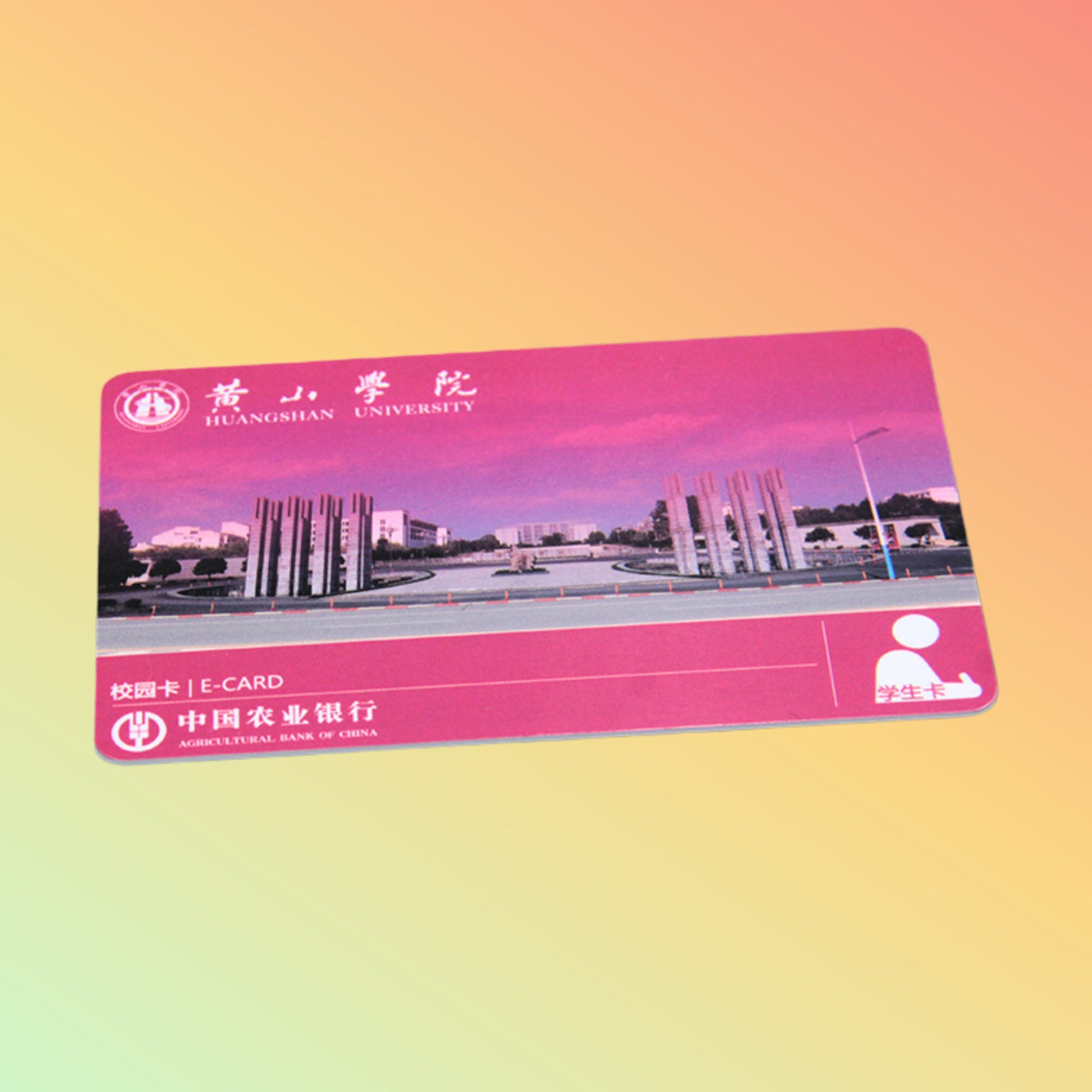 rfid School card