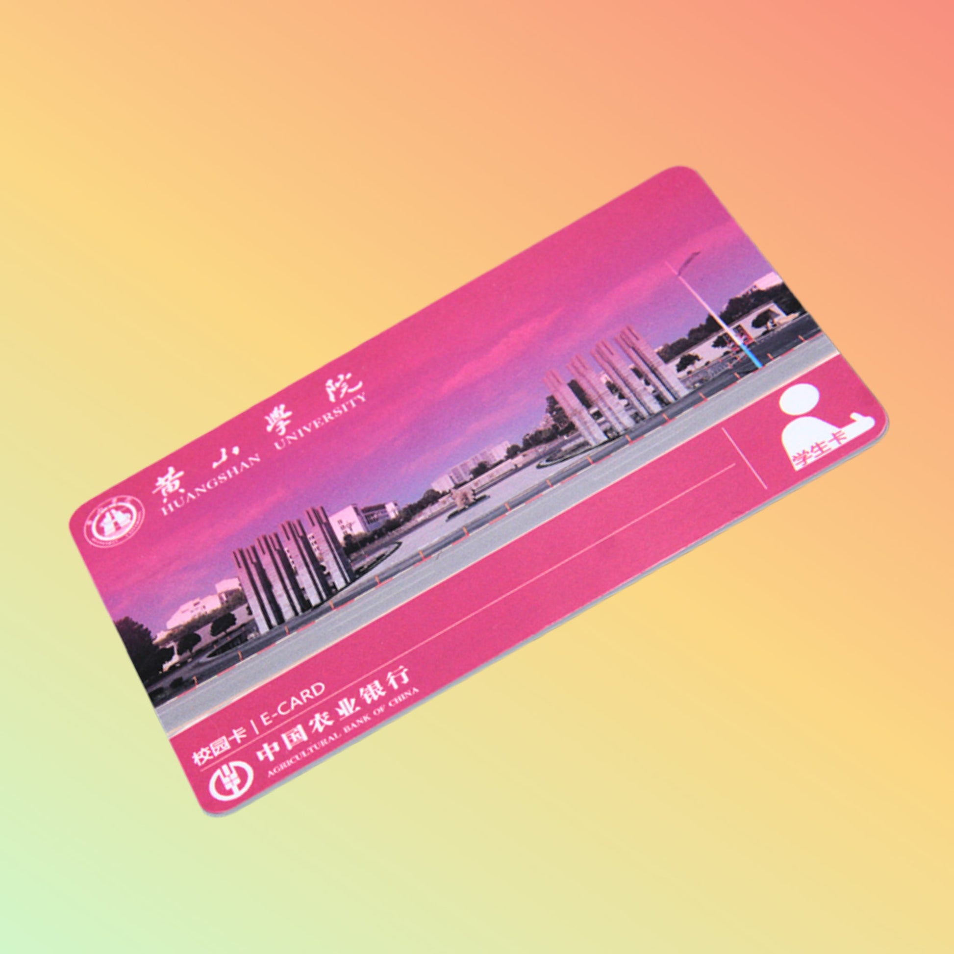 rfid School card