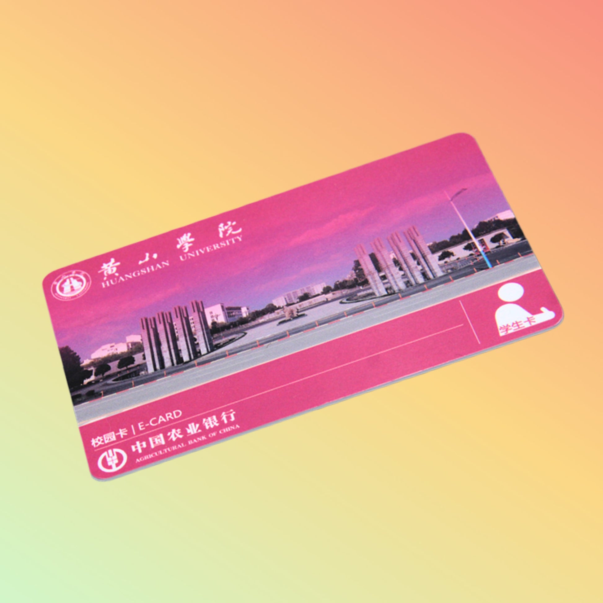 rfid School card