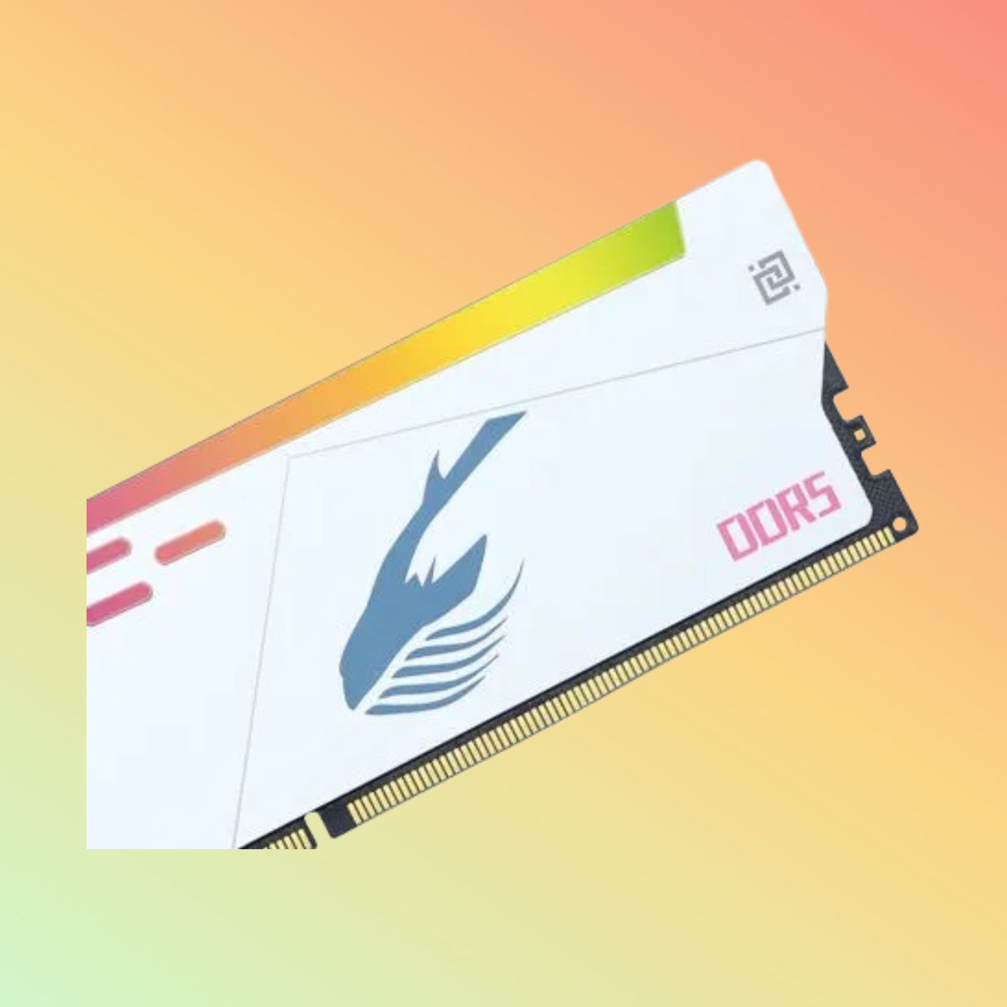 WHALEKOM RGB RAM DDR5 16GB 32GB 4800/5600/7200Mhz WR1