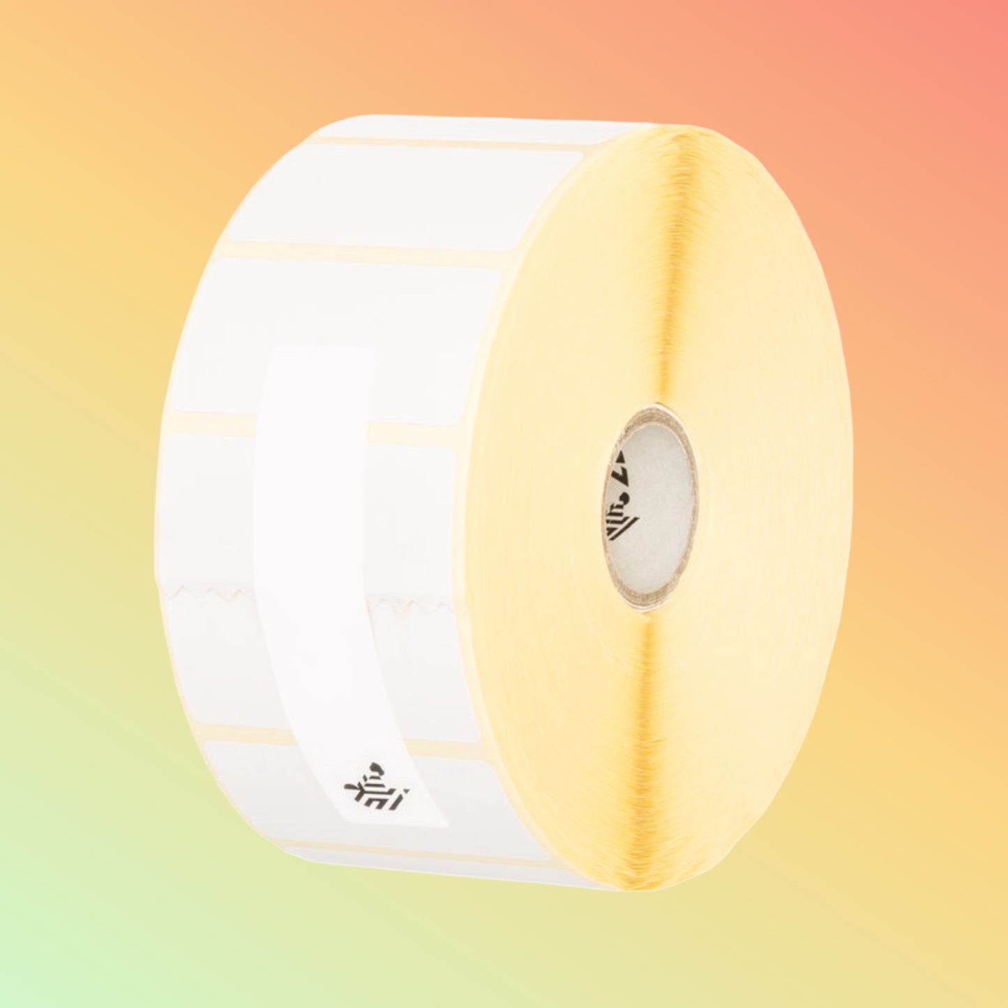 Zebra Z-Perform 2000T Thermal Transfer Paper Labels 4 × 2 in (101.6 × 50.8 mm) | NEOTECH® UAE