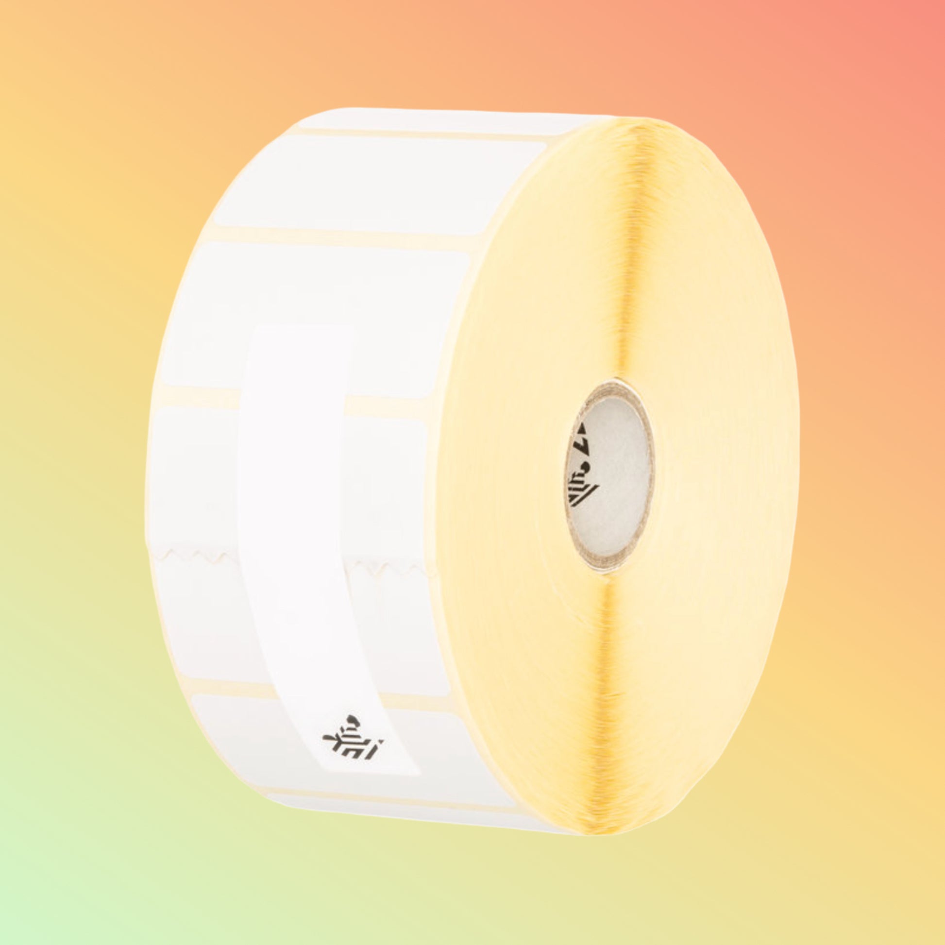Zebra Z-Perform 2000T Thermal Transfer Paper Labels 4 × 2 in (101.6 × 50.8 mm) | NEOTECH® UAE