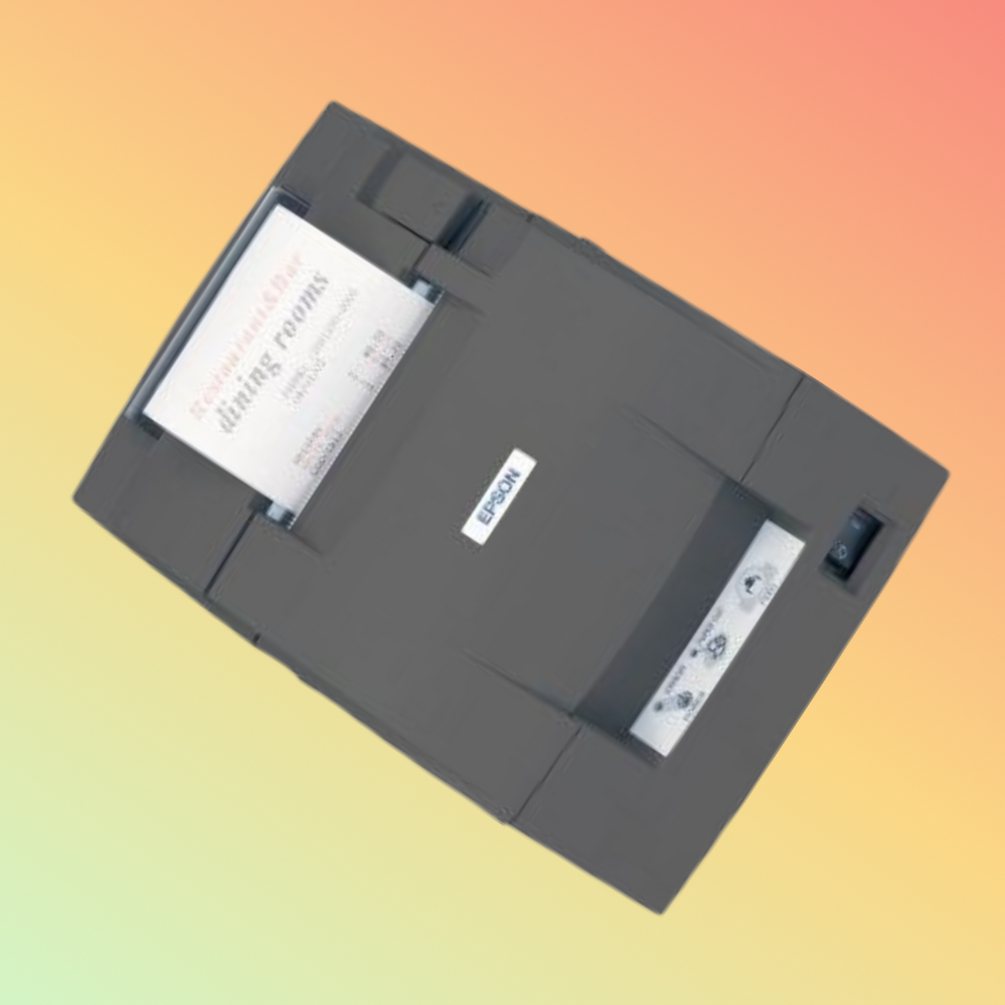 Epson TM 220PB Receipt Printer