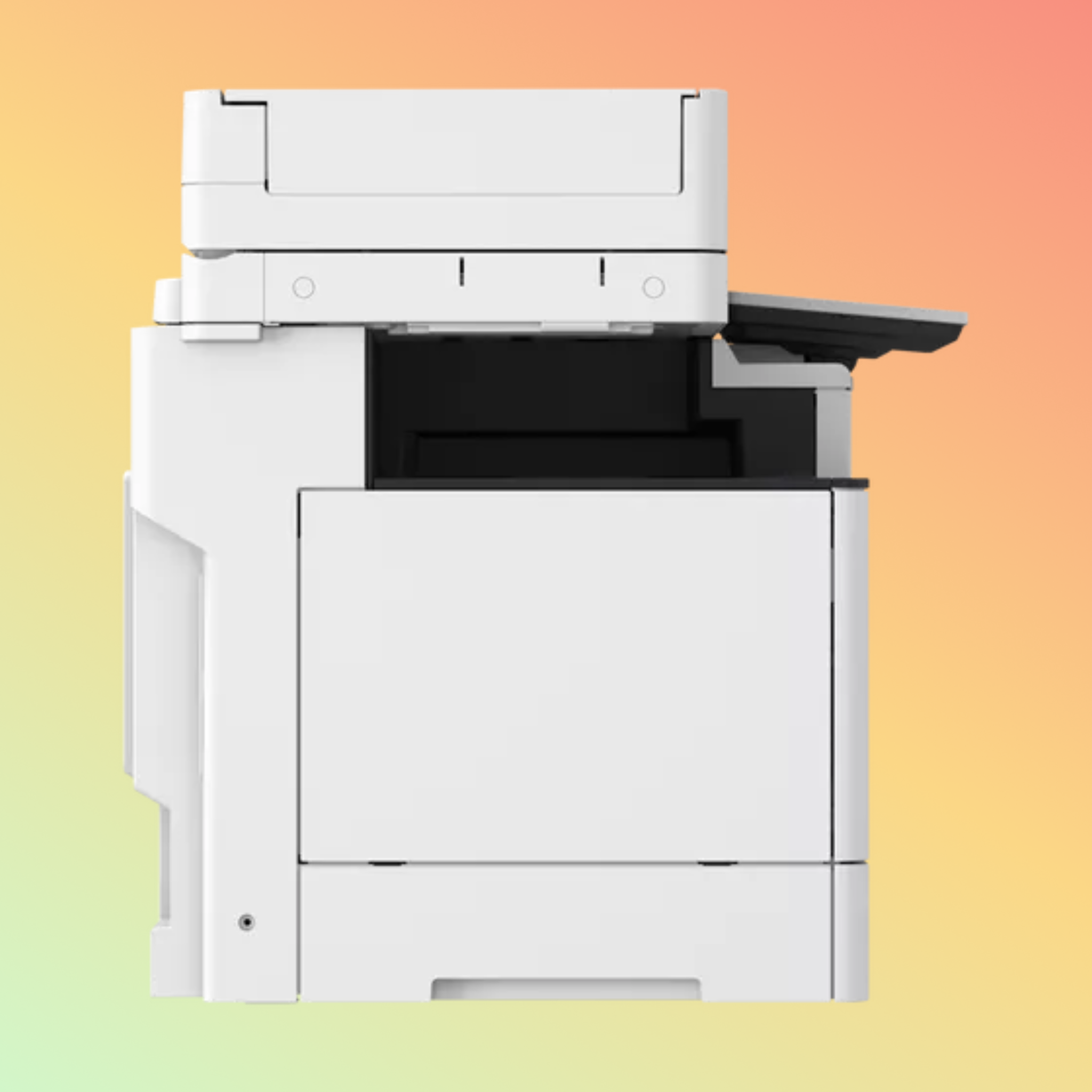 pixelcut-export_40_7af62ad8-
