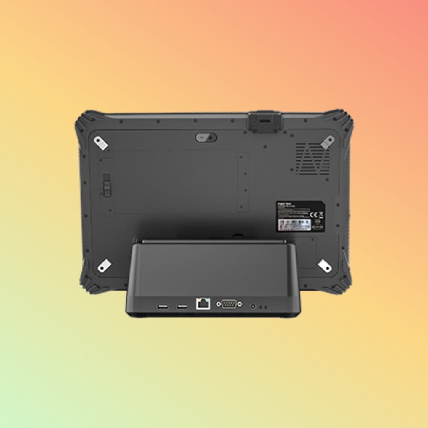 DingData S20TWP