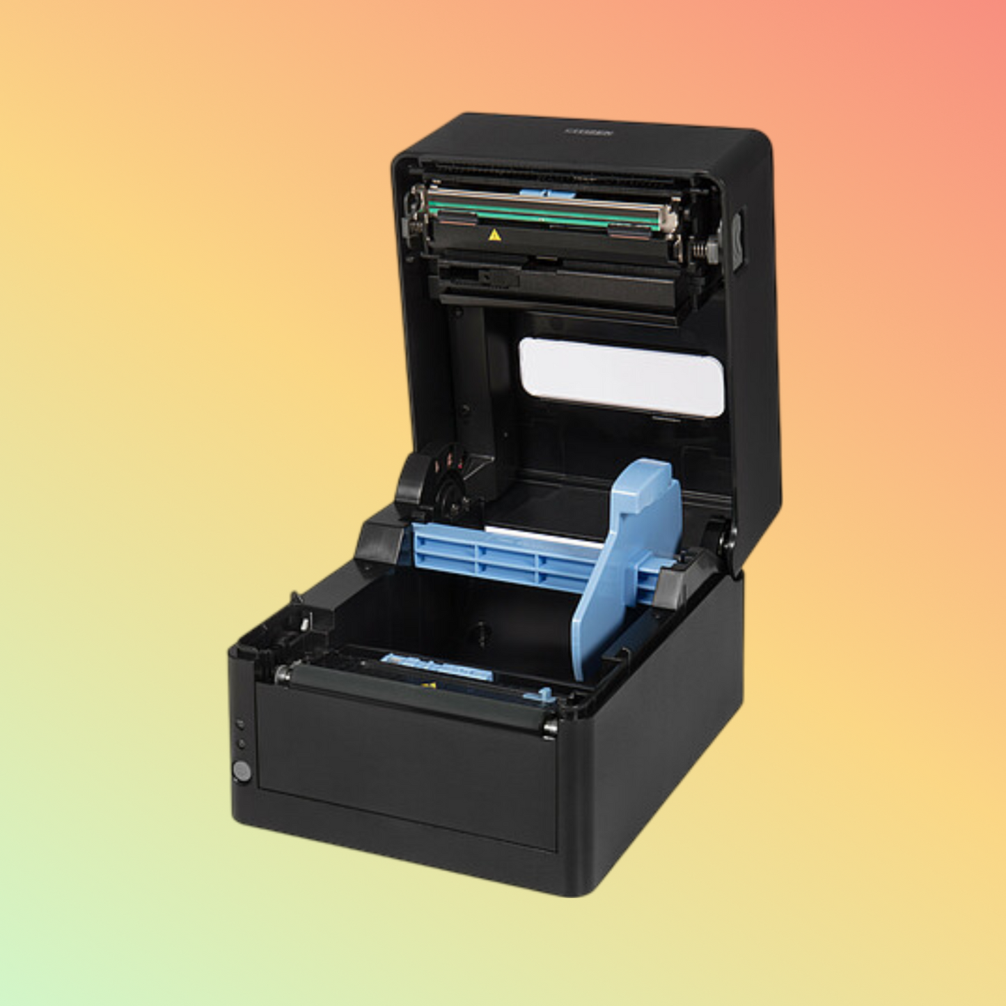 Citizen Systems CL-E300 Direct Thermal Printer (Black)