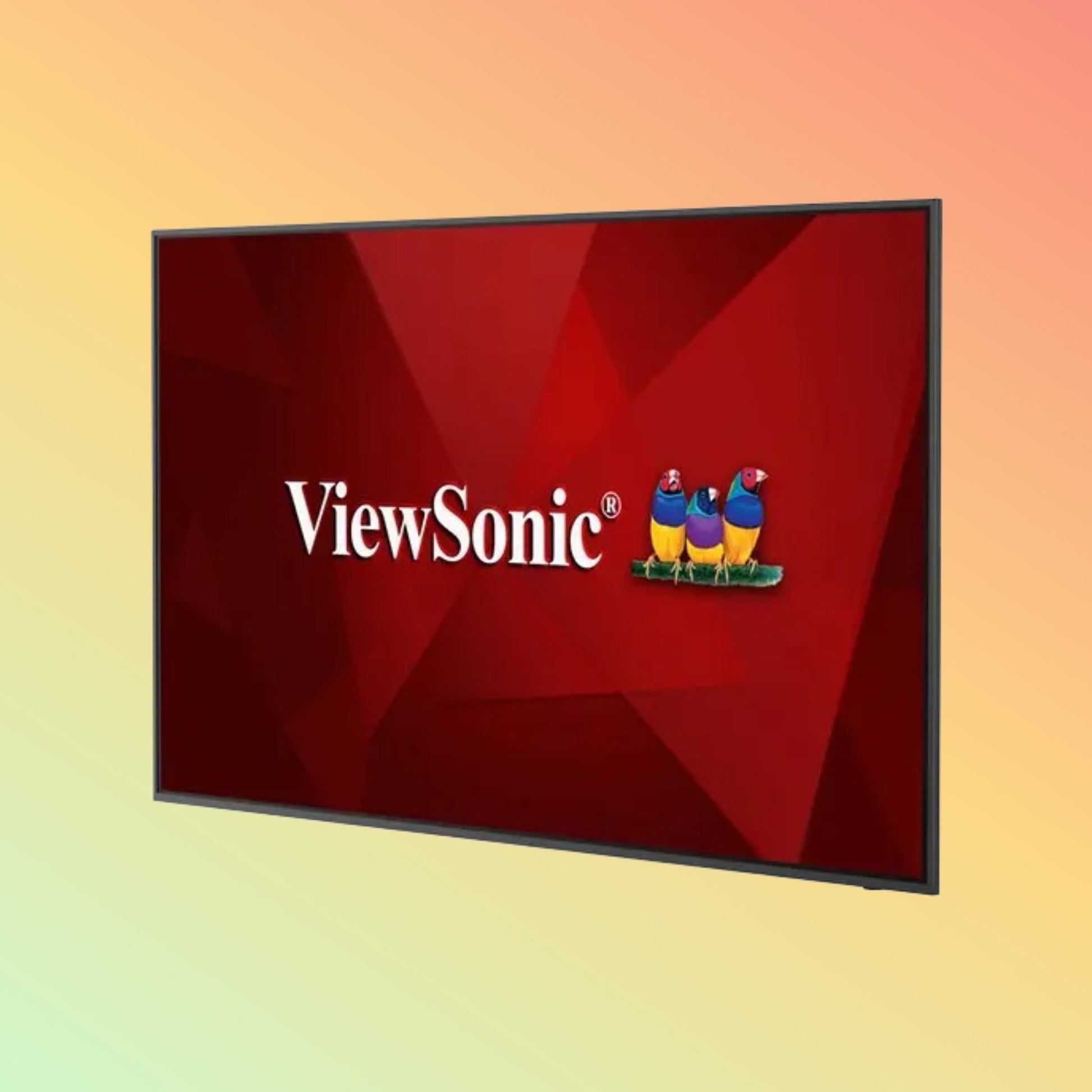 ViewSonic CDE5530 - W1 55" 4K Display – 450 nits, 60Hz, Wi - Fi 6, Bluetooth, Portrait/Landscape - NEOTECH