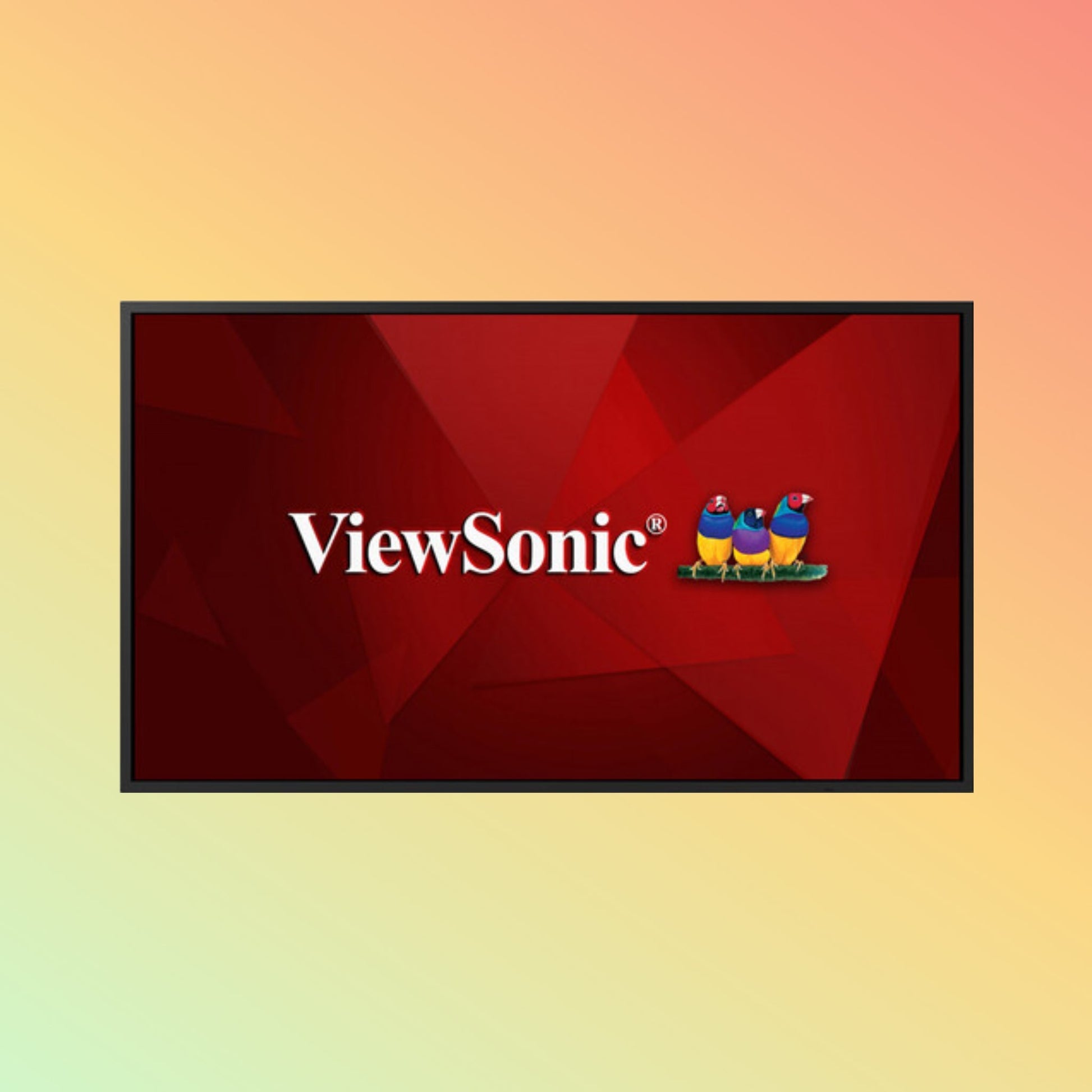 ViewSonic CDE6530 - W1 65" 4K Display – 450 nits, 60Hz, Wi - Fi 6, Bluetooth, Portrait/Landscape - NEOTECH
